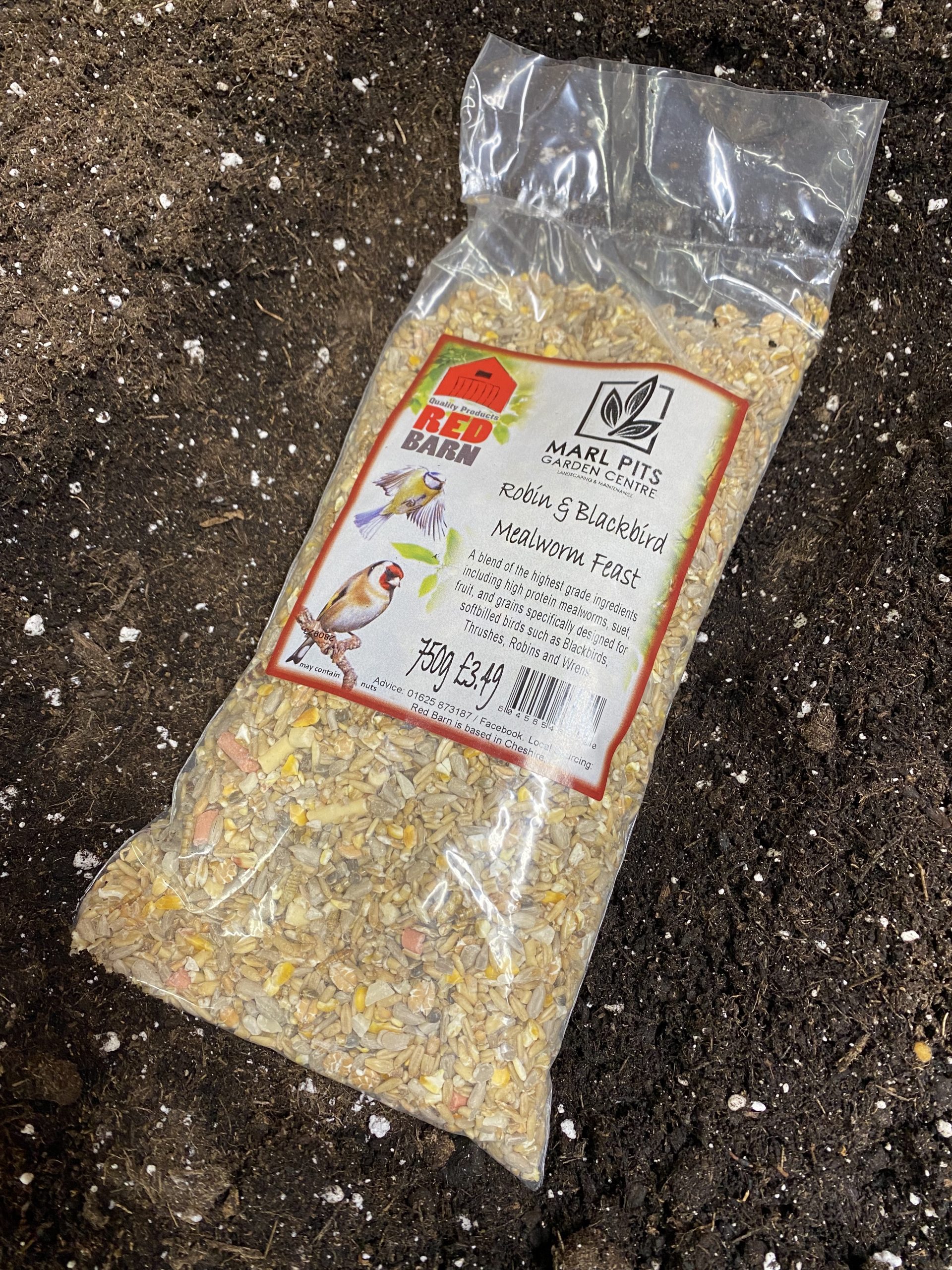 Robin and Blackbird Mealworm Feast Marl Pits Garden Centre